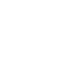icon custom development