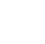 icon distributors