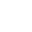icon governmental
