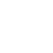 icon inventory management