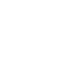 icon salesforce