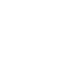 icon shopify