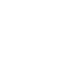 icon woocommerce