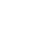 icon renault